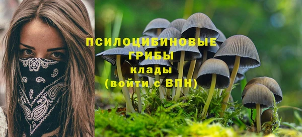 спайс Балабаново