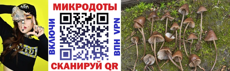 дарнет шоп  Ворсма  Галлюциногенные грибы Psilocybine cubensis 